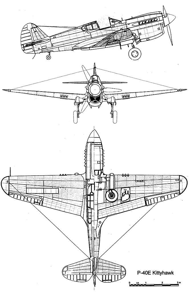 p40e_3v.jpg