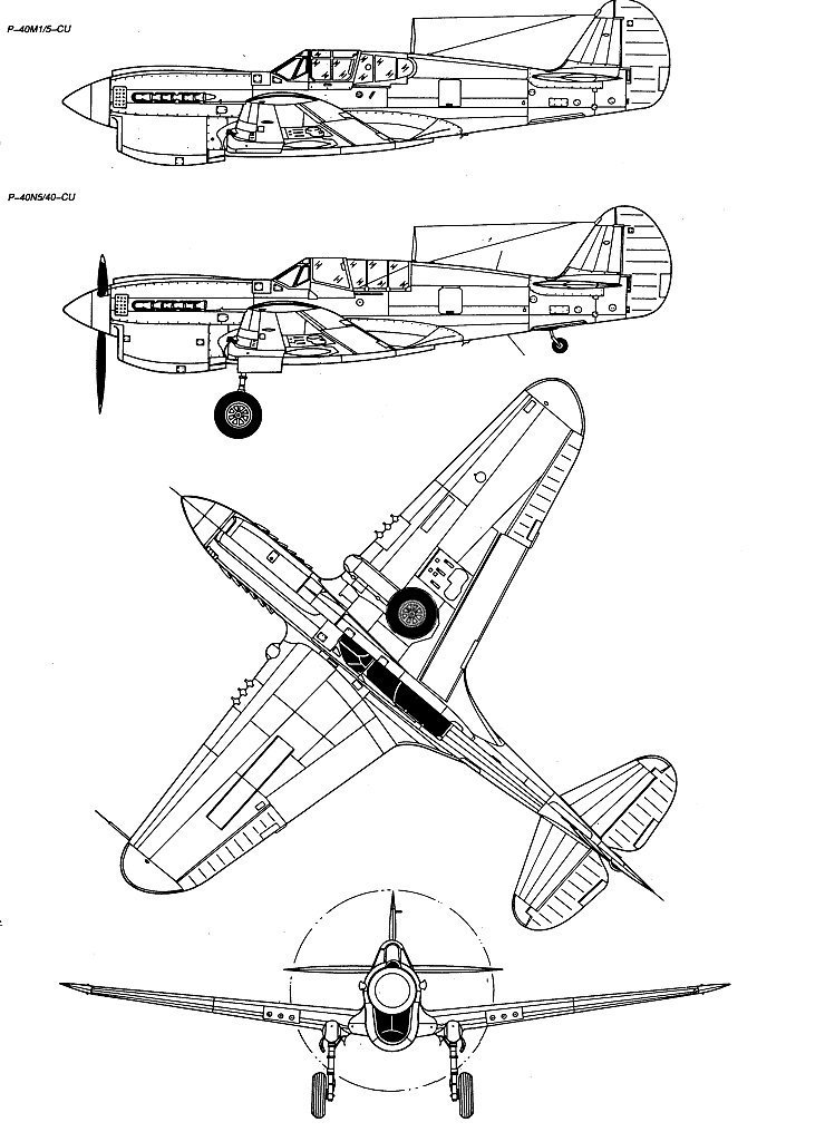 p40m_3v.jpg
