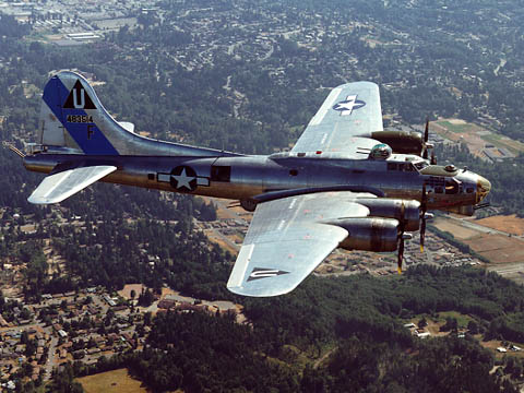 b17.jpg